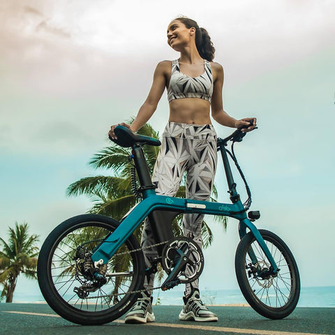 FIIDO D11 Electric Mountain Bike with mudguard and light