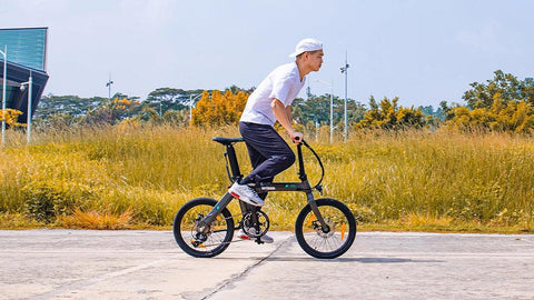 FIIDO D21 Folding Electric Bike with mudguard and light