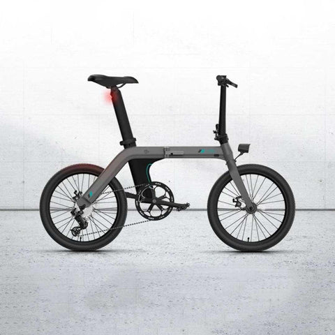 FIIDO D21 Folding Electric Bike with mudguard and light