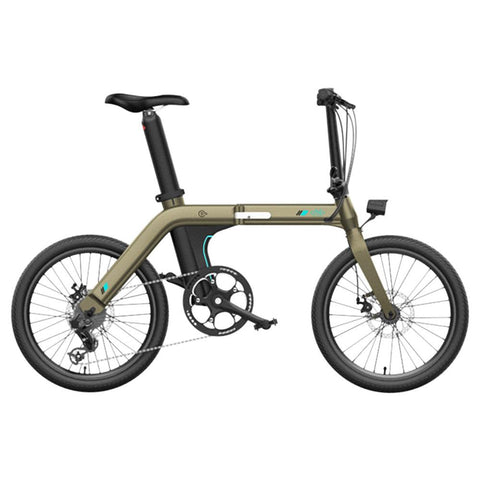 FIIDO D21 Folding Electric Bike with mudguard and light