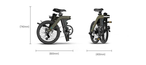 FIIDO D21 Folding Electric Bike with mudguard and light