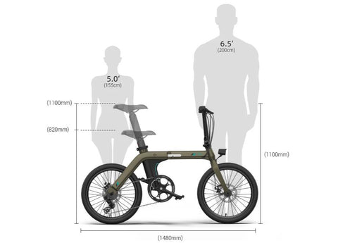 FIIDO D21 Folding Electric Bike with mudguard and light