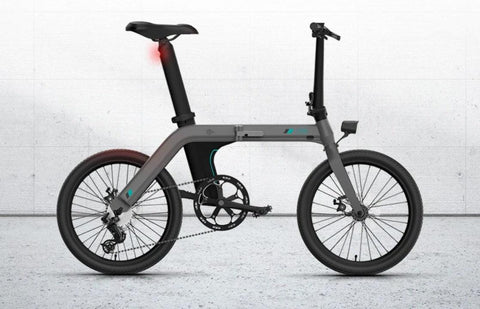 FIIDO D21 Folding Electric Bike with mudguard and light