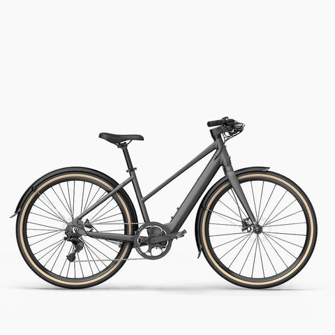 Fiido E-Gravel C21/C22 Electric Bike