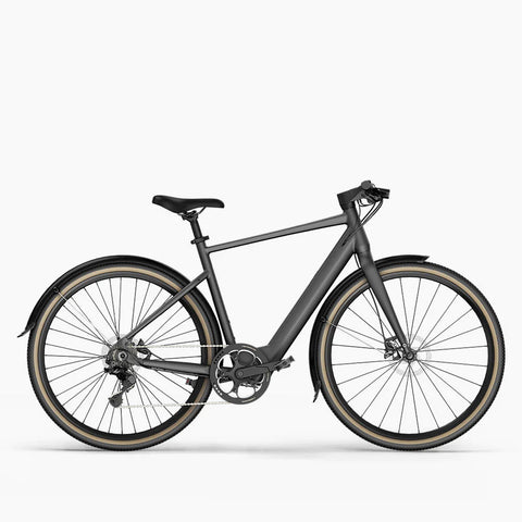 Fiido E-Gravel C21/C22 Electric Bike