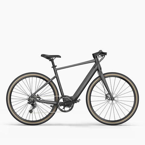 Fiido E-Gravel C21/C22 Electric Bike