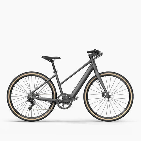 Fiido E-Gravel C21/C22 Electric Bike