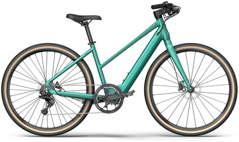 Fiido E-Gravel C21/C22 Electric Bike