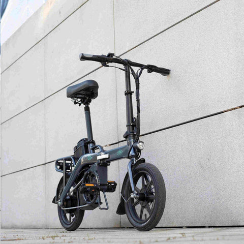 FIIDO L3 Electric Bike with mudguard and light