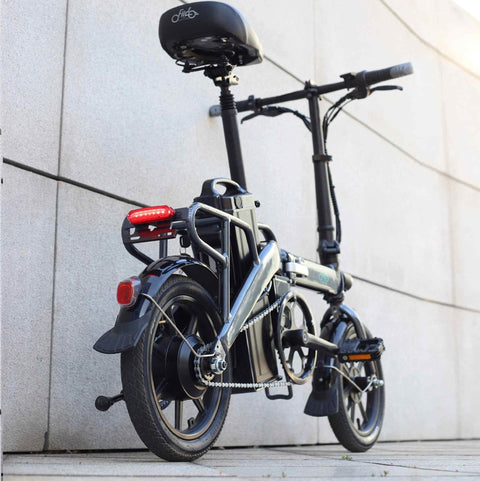 FIIDO L3 Electric Bike with mudguard and light