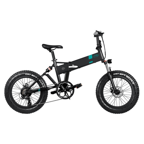 FIIDO M21 With Torque Sensor  Electric Bike