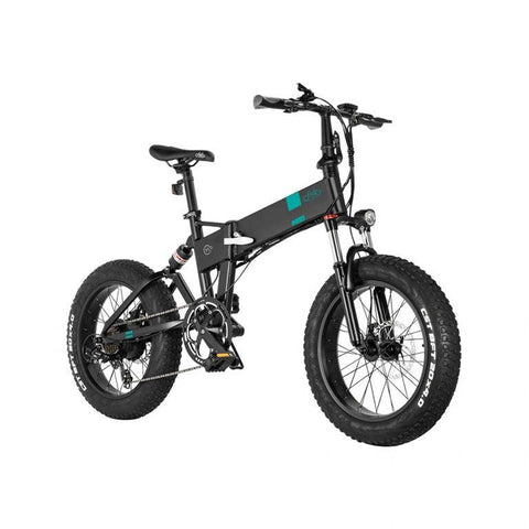 FIIDO M21 With Torque Sensor  Electric Bike