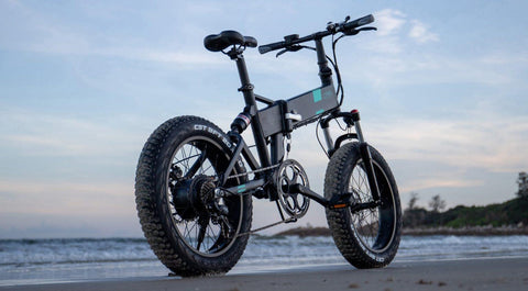 FIIDO M21 With Torque Sensor  Electric Bike