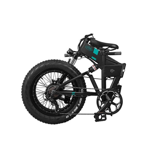 FIIDO M21 With Torque Sensor  Electric Bike