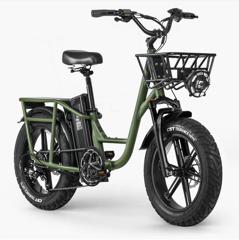 FIIDO T1 pro Electric Cargo Bike version 2 2023 edition