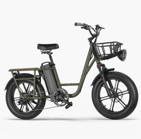 FIIDO T1 pro Electric Cargo Bike version 2 2023 edition