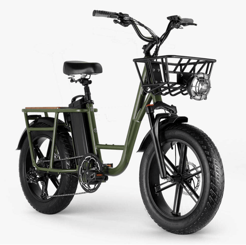 FIIDO T1 pro Electric Cargo Bike version 2 2023 edition