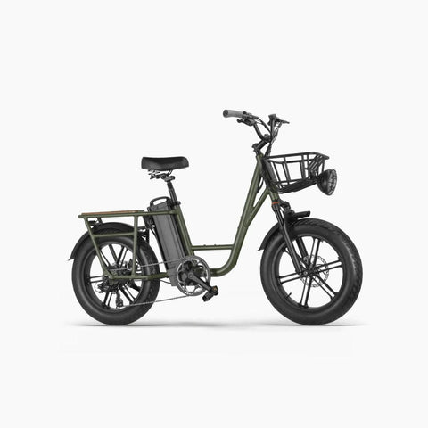 FIIDO T1 pro Electric Cargo Bike version 2 2023 edition