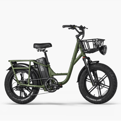 FIIDO T1 pro Electric Cargo Bike version 2 2023 edition