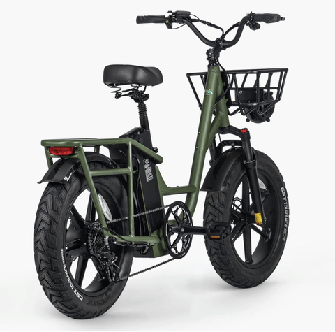 FIIDO T1 pro Electric Cargo Bike version 2 2023 edition