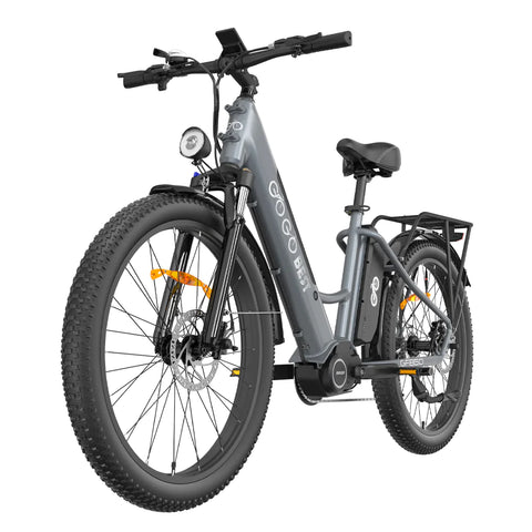 GOGOBEST GF850 Electric Mid Mounted Motor Bicycle