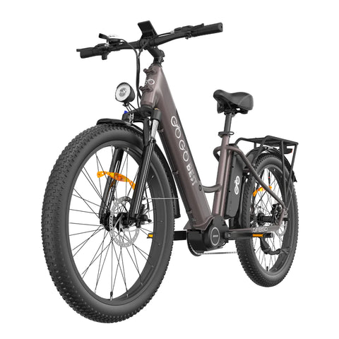 GOGOBEST GF850 Electric Mid Mounted Motor Bicycle