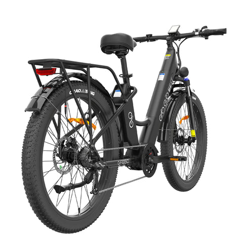 GOGOBEST GF850 Electric Mid Mounted Motor Bicycle