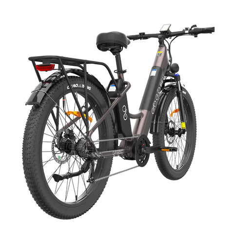 GOGOBEST GF850 Electric Mid Mounted Motor Bicycle