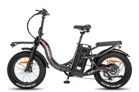 Fafrees F20 X-Max Electric Bike