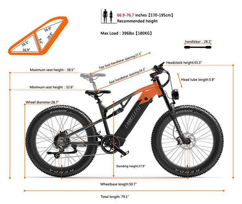 Lankeleisi RV700 Electric Mountain Bike