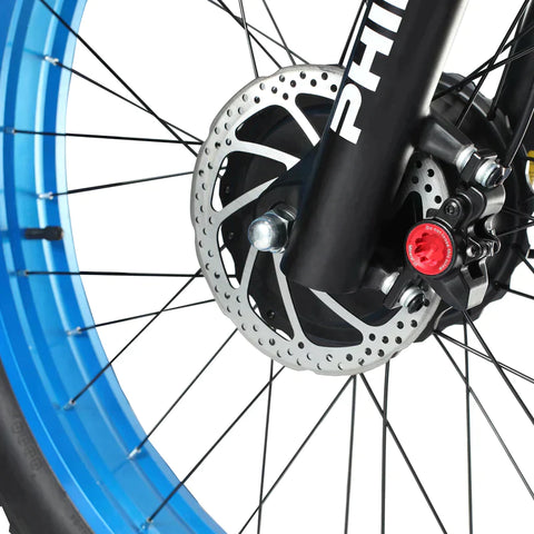 Philodo H8 Dual Motor electric Bike Cargo -limited stock