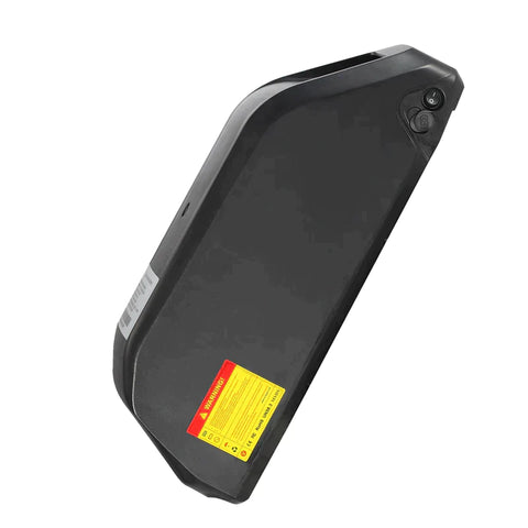 Philodo H8 Dual Motor electric Bike Cargo -limited stock